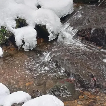 Vakantieboerderij Hopfenhof *