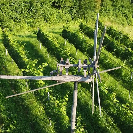 Hopfenhof Alojamento de Turismo Rural Leutschach