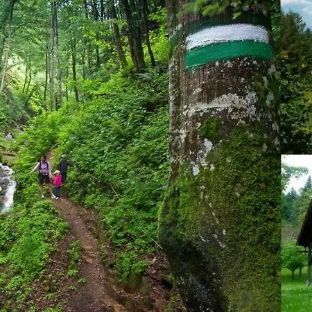 Hopfenhof Poscharnik ليوتسشاخ