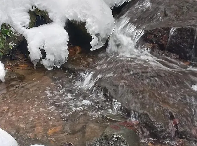 مزرعة للإقامة Hopfenhof Poscharnik *