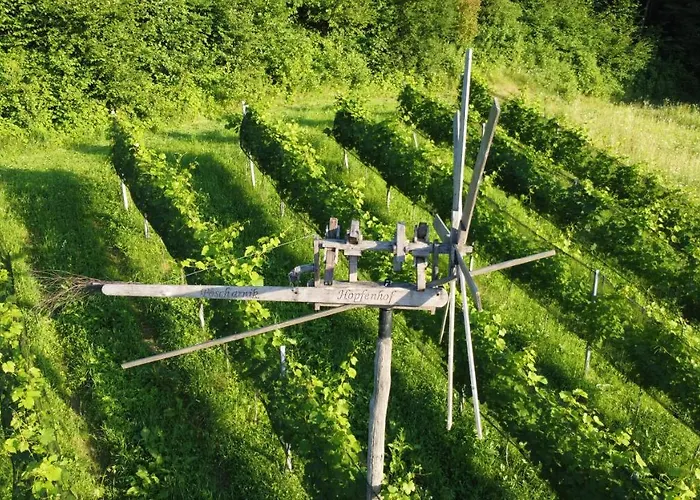 Hopfenhof Bauernhof Leutschach
