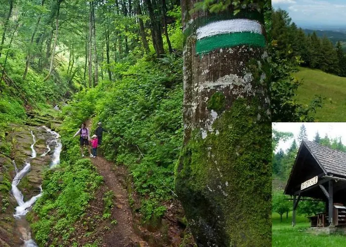 Hopfenhof Poscharnik ليوتسشاخ